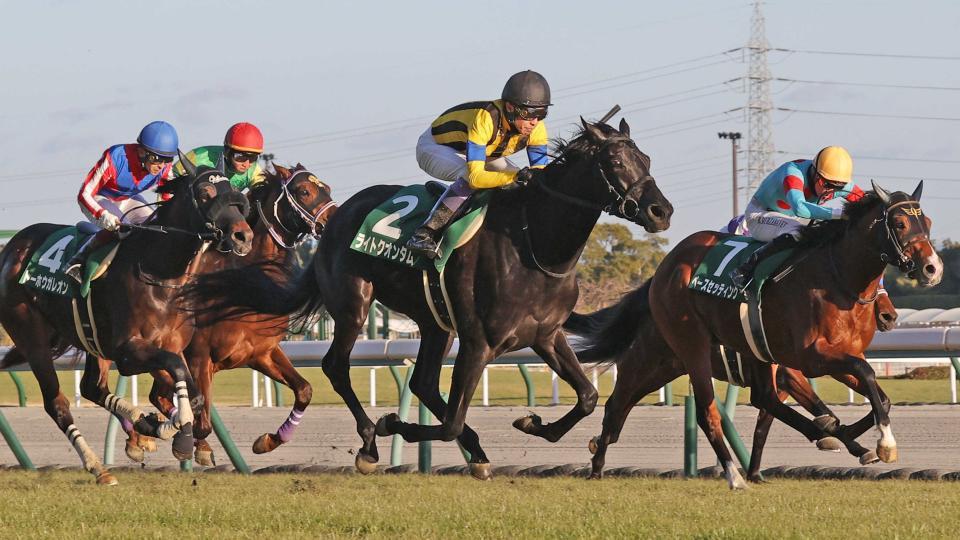 　シンザン記念を制したライトクオンタム（中央）