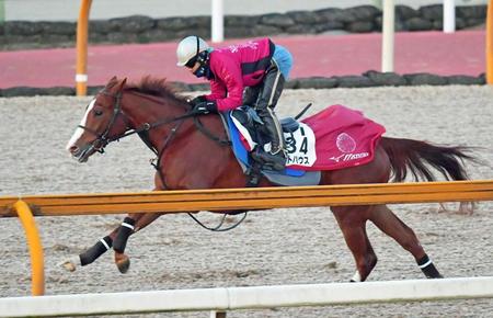 　中内田師を背に栗東ＣＷでシャープに伸びたアートハウス（撮影・石湯恒介）