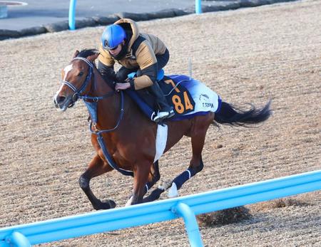 　鋭い伸び脚で先着を果たしたソールオリエンス