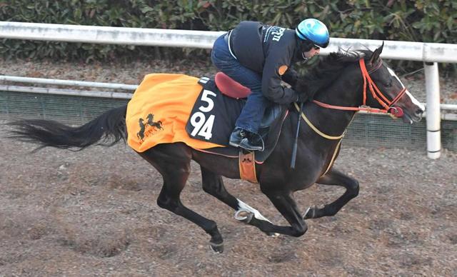 【京成杯】セブンマジシャン好感触　短期間で２度目東上ドンと来い