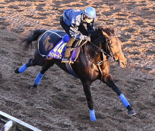 中山金杯１４着のウインキートスが引退撤回　横山和との初コンビでダイヤモンドＳへ