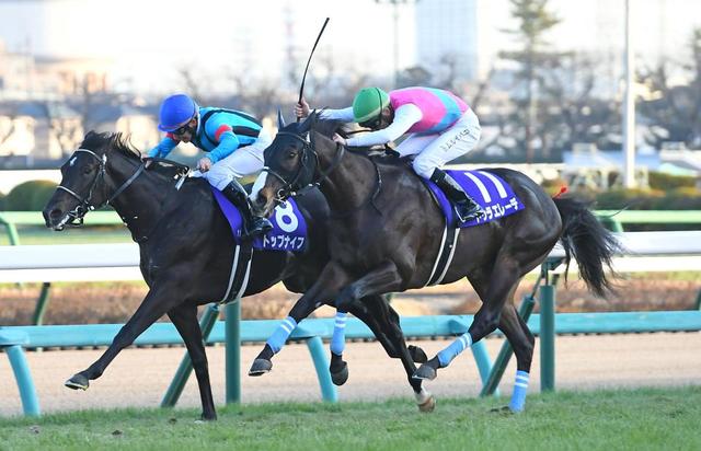 【ＰＯＧ】須貝師も絶賛のフリームファクシはきさらぎ賞へ（栗東発）