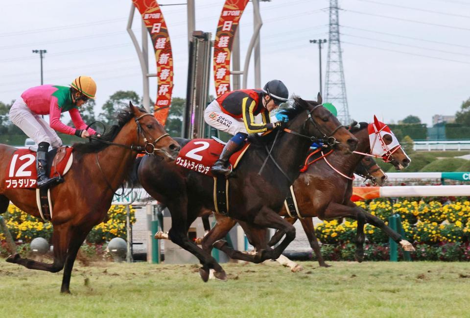 　日経新春杯を制したイーガン騎乗のヴェルトライゼンデ（中央）