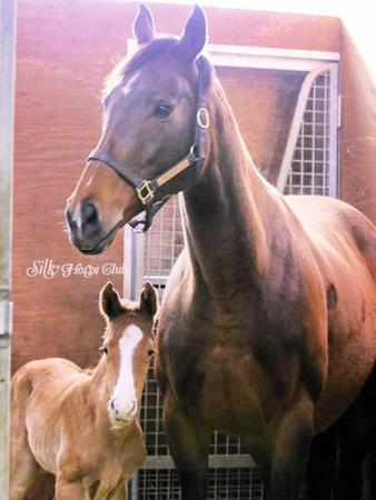 　第２子に寄り添うアーモンドアイ（シルク・ホースクラブ提供）