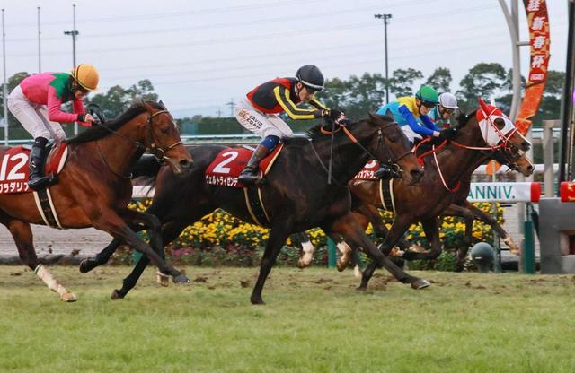 【日経新春杯】ヴェルトライゼンデ復権！ねじ伏せて重賞２勝目　イーガンはＪＲＡ重賞初Ｖ