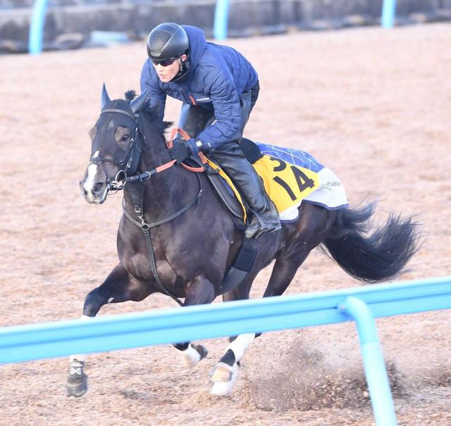 【ＡＪＣＣ】エピファニー　破竹の５連勝だ　宮田師も期待「もう一段上に行ける」
