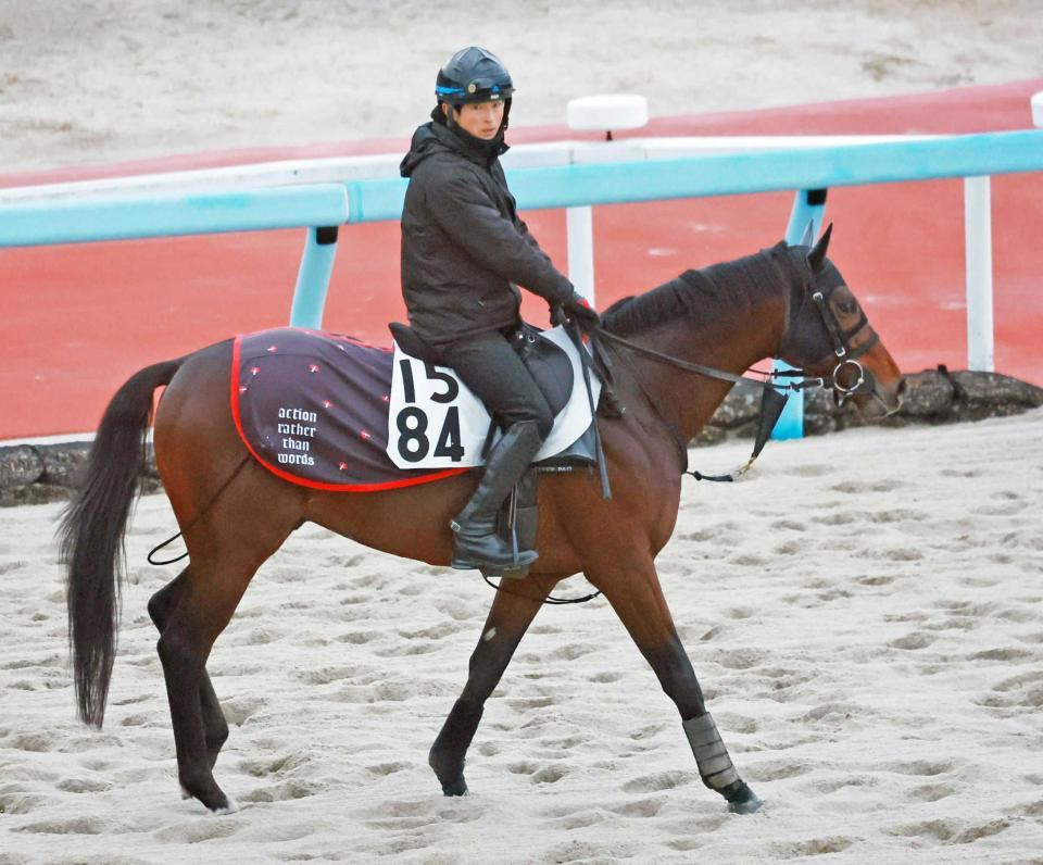 　ここでタイトル奪取といきたいハギノアレグリアス