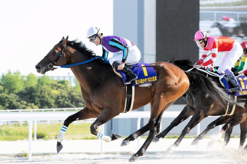 　ＮＡＲグランプリ２０２２年度代表馬に選出されたイグナイター（ＮＡＲ提供写真）