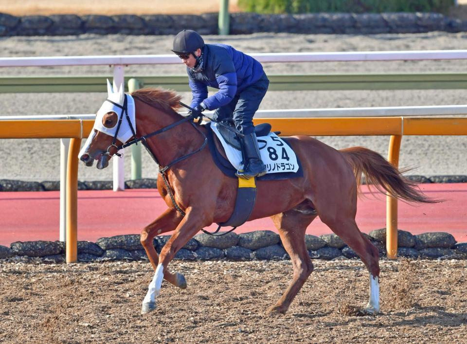 　及第点の動きを見せたクリノドラゴン（撮影・石湯恒介）