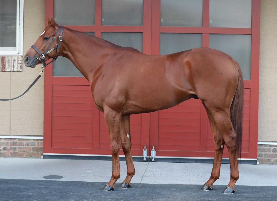 　サウジＣ参戦が決まったジオグリフ