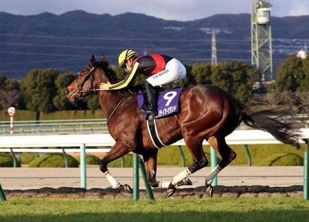 　昨年の阪神ＪＦを制したリバティアイランド