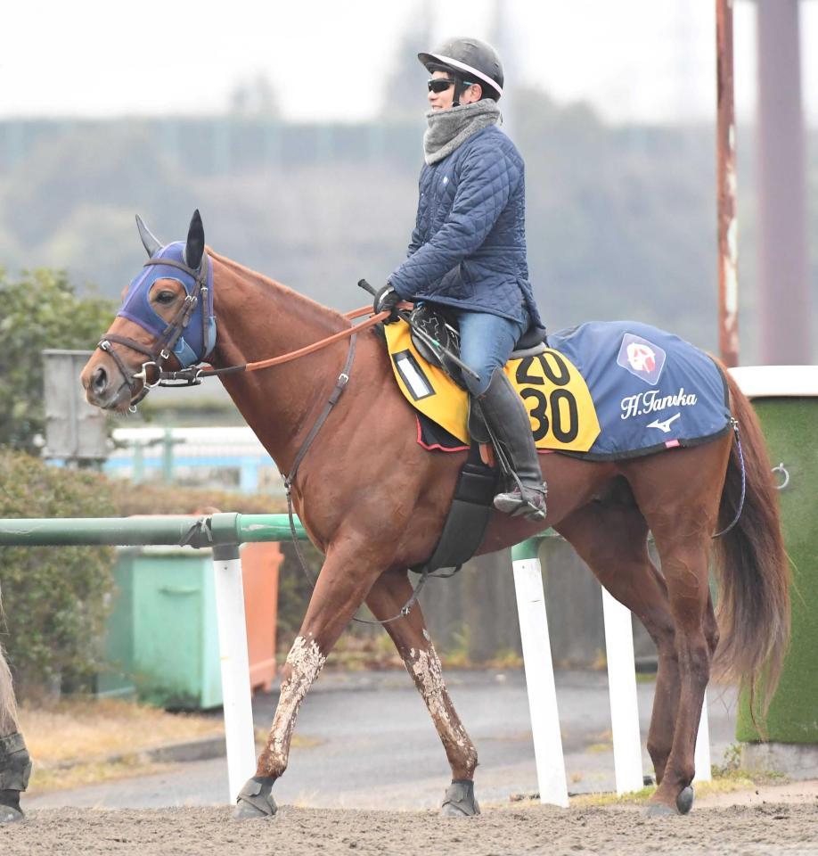 　重賞獲りに燃えるレモンポップ