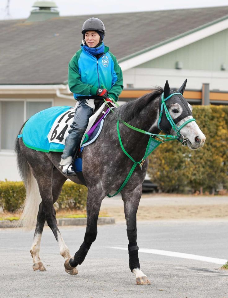 【シルクロードS】マッドクール 重賞初挑戦初V狙う 池添学師「上の方に行くのだろうな」/競馬・レース/デイリースポーツ online