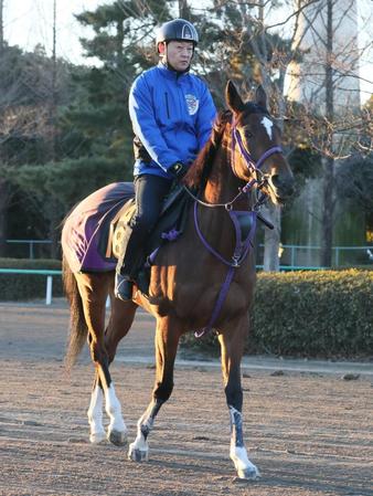 　馬場へ向かう鹿戸厩舎のムンドエルモソ