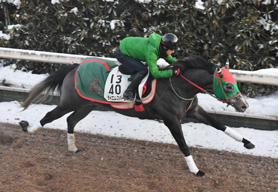 　栗東坂路で軽快な動きを見せたテイエムスパーダ
