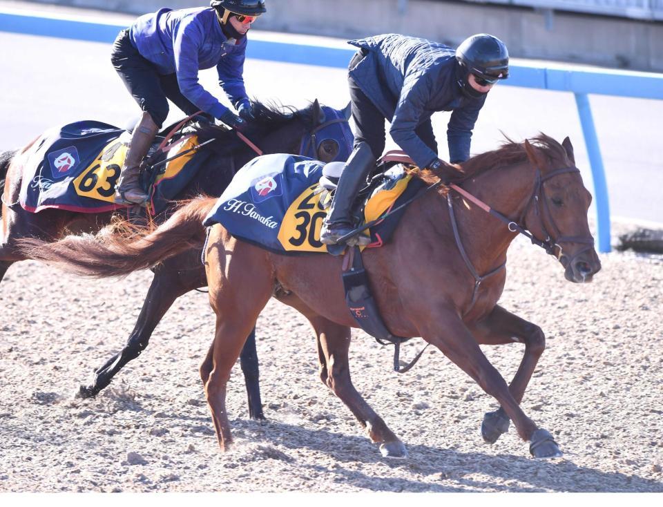 　美浦Ｗの併せ馬でシャープに伸びたレモンポップ（右）＝撮影・園田高夫