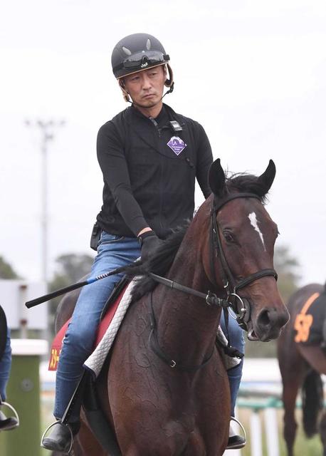 ２冠牝馬スターズオンアースが大阪杯での復帰を視野に　ジェラルディーナなどと激突へ