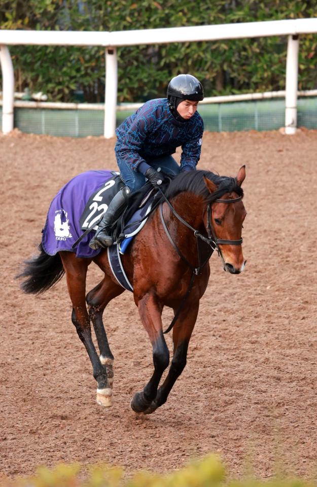 重賞Ｖで春へとつなげたいオープンファイア