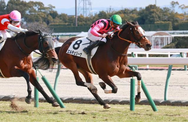 【ＰＯＧ】エルチェリーナ　最内差し切ってＶ　岩田望「能力で勝ってくれた」