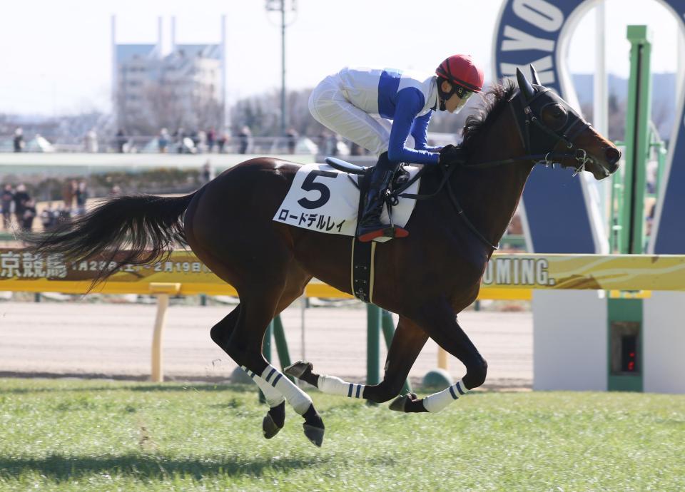 ロードデルレイ