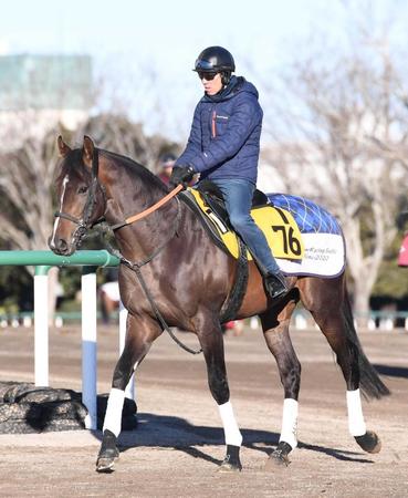 　初タイトル奪取に燃える素質馬インダストリア（撮影・園田高夫）