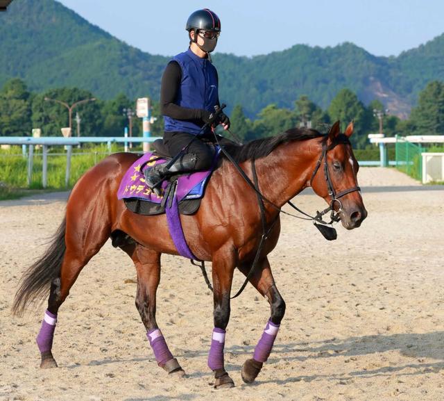 【京都記念】ドウデュース　ラスト１Ｆ１１秒２　凱旋門賞以来も武豊「能力に疑う余地ない」