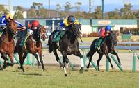 　きさらぎ賞を制した川田騎乗のフリームファクシ（右から２頭目）