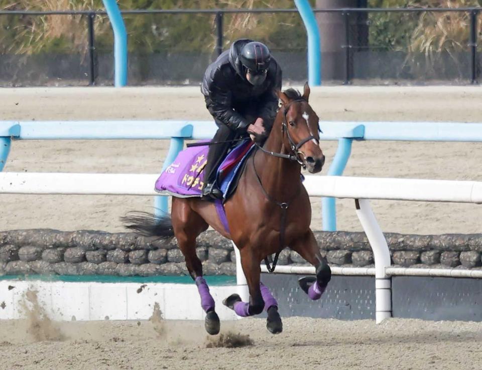 　始動戦へ向けて順調な仕上がりをアピールしたドウデュース（撮影・石湯恒介）