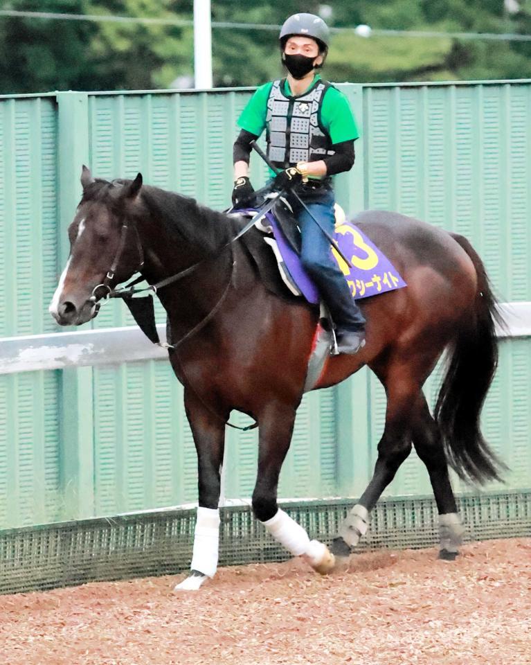 　阪急杯で復帰する予定のピクシーナイト