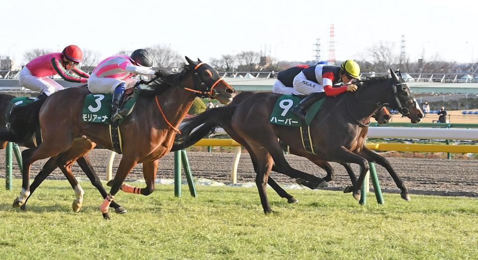 　東京１１Ｒ、デイリー杯クイーンＣを制したハーパー（右）＝撮影・三好信也