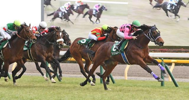 【共同通信杯】ファントムシーフ 出世レースV 大目標のダービーへ東京適性証明