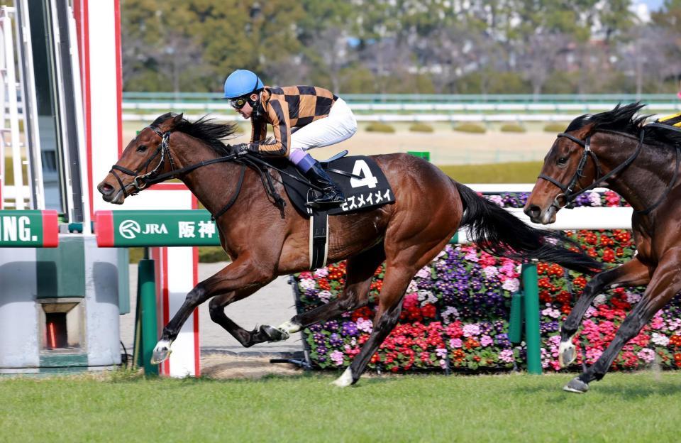 　こぶし賞を制したモズメイメイ（撮影・石湯恒介）