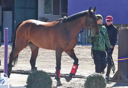 　退厩するエフフォーリアを見送る横山武（右）＝撮影・三好信也