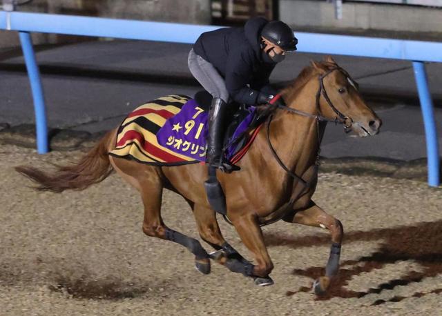 【サウジＣ】ジオグリフ　素軽い動き披露　木村師「フットワークの質は良くなっている」