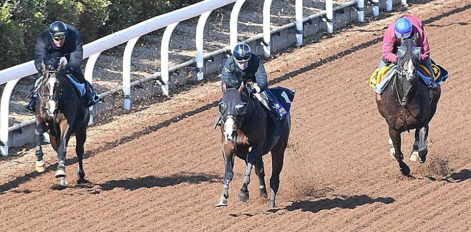 　ルメールを背にやる気満々の走りを披露したテイエムサウスダン（中央）＝撮影・三好信也