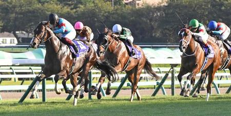 　スプリンターズＳを制したピクシーナイト（左）＝２１年１０月３日・中山競馬場