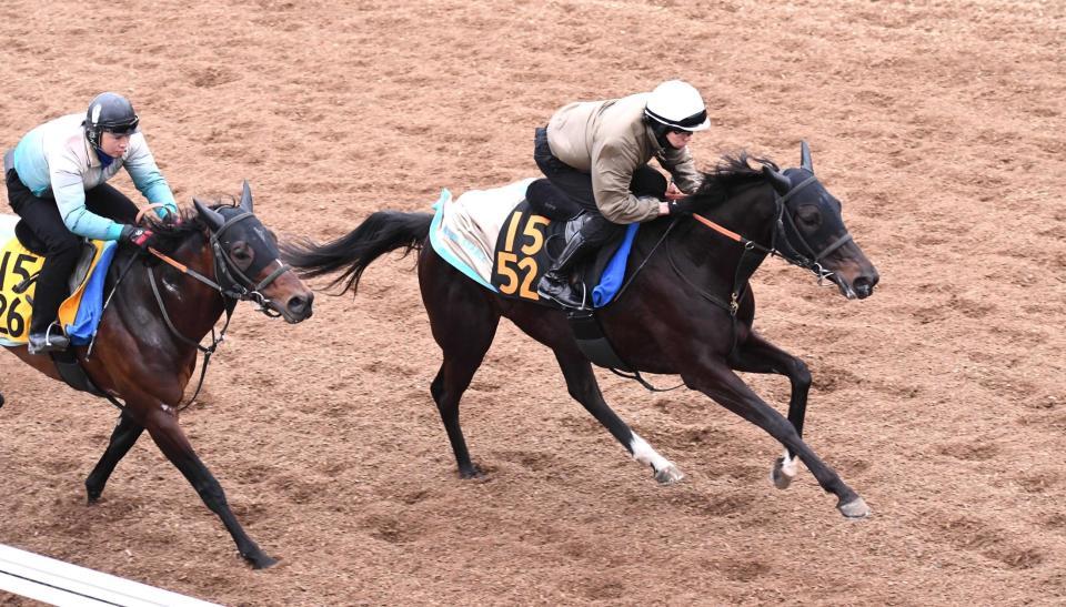 　美浦坂路で躍動感のある動きを見せたルミノメテオール（右）＝撮影・園田高夫