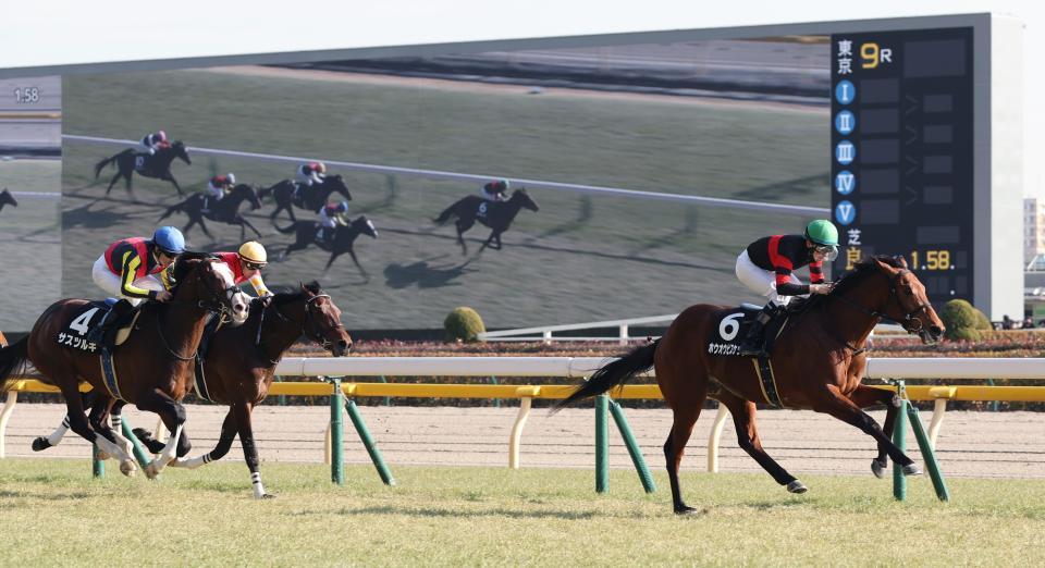 ホウオウビスケッツ（右）