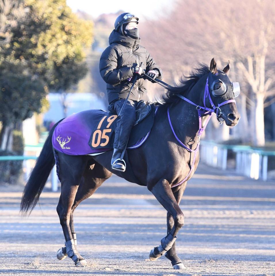 　デビュー２連勝を目指す良血馬ペリファーニア（撮影・園田高夫）