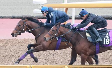 　武豊を背に栗東ＣＷで追い切るドウデュース（奥）＝撮影・石湯恒介