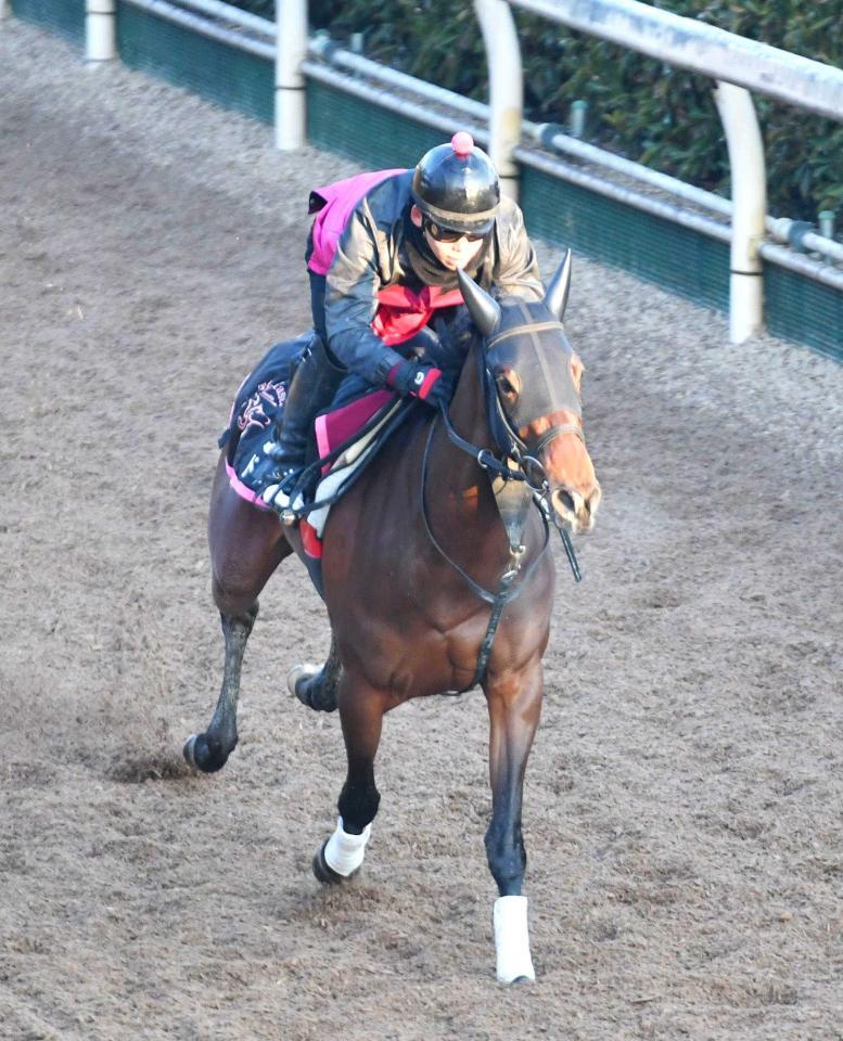 　栗東坂路を軽快に駆け上がったドゥーラ（撮影・石井剣太郎）