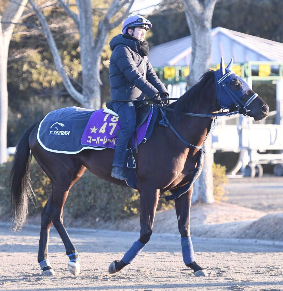 　競走馬登録を抹消されたユーバーレーベン