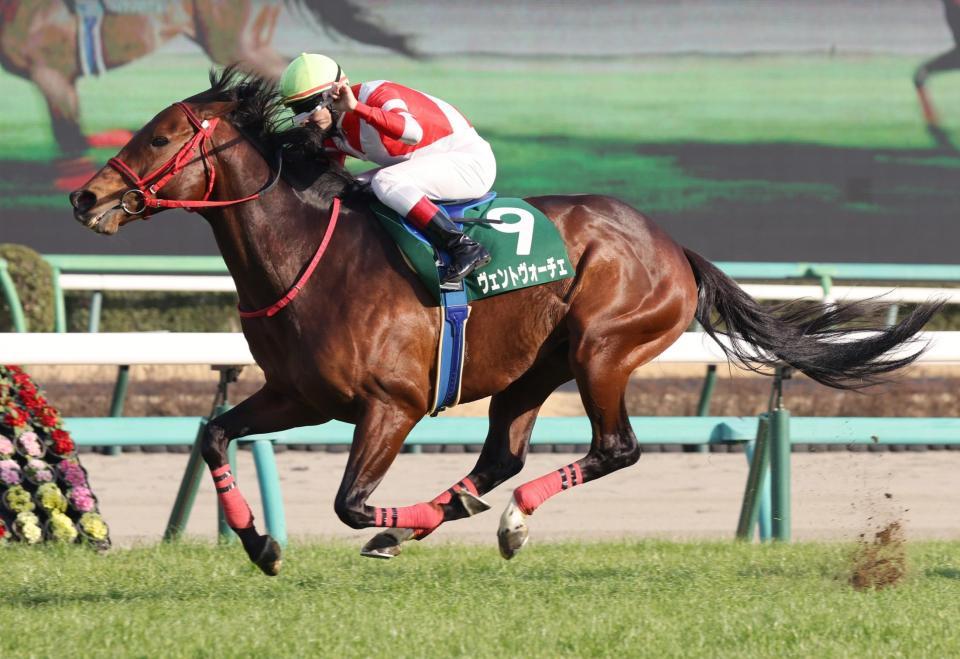 　オーシャンＳを制したヴェントヴォーチェ