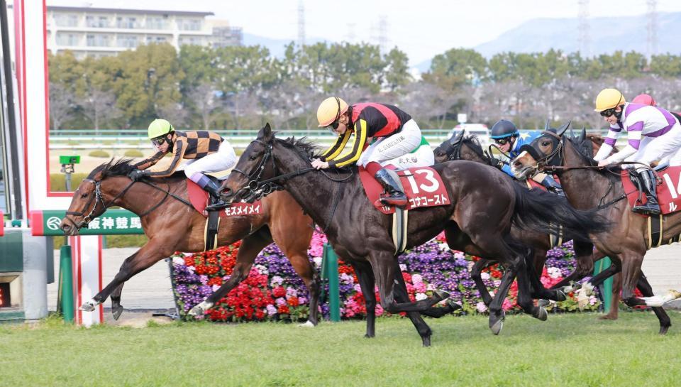 　コナコースト（中央）の追い上げをハナ差しのいだモズメイメイ（左端）＝撮影・石湯恒介