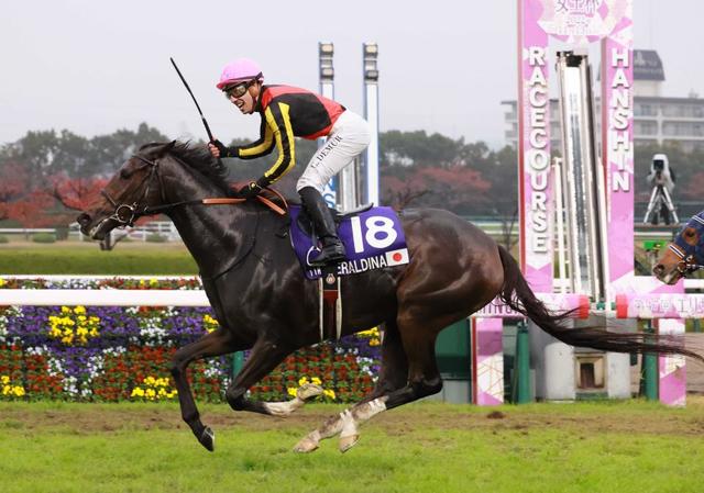 【大阪杯】ジェラルディーナ　岩田望との新コンビ結成　７日に栗東トレセン帰厩