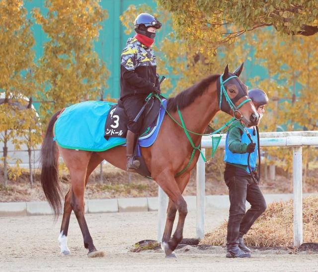 【フィリーズＲ】ブトンドール　逆襲態勢で臨む一戦　鮫島駿「状態自体はすごくフレッシュ」