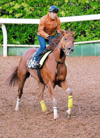 　武豊と新コンビを結成するリメイク