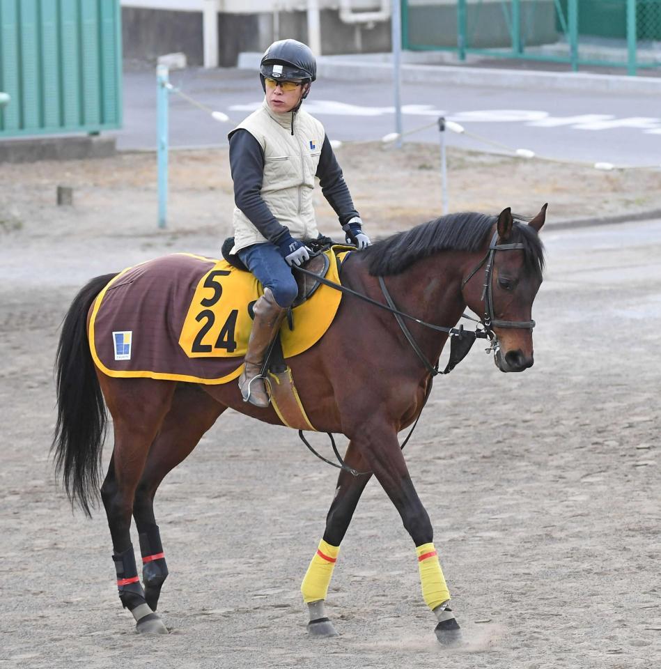 　２度目の重賞挑戦となるグランオフィシエ