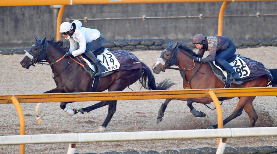 　軽やかな脚取りで駆けたナムラクレア（左）＝撮影・石湯恒介