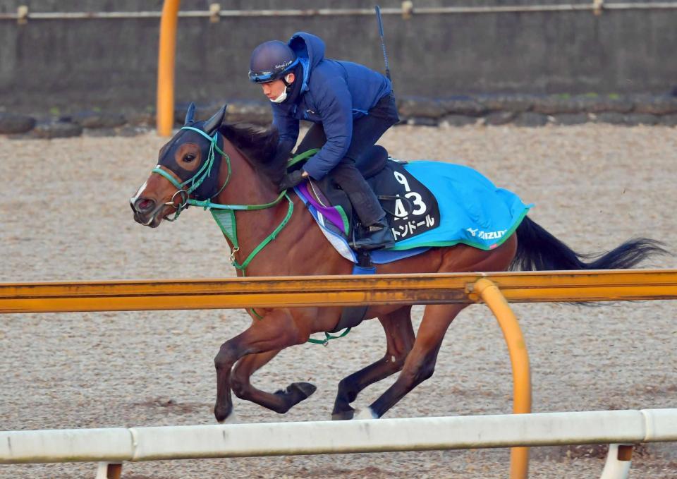 　軽快に栗東ＣＷを駆け抜けたブトンドール（撮影・石湯恒介）